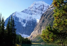 乐鱼体育-德国队力克法国队，郑思维统治全场