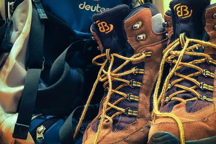 乐鱼体育app-奇才爆冷魔术，阿德巴约三分雨点燃全场